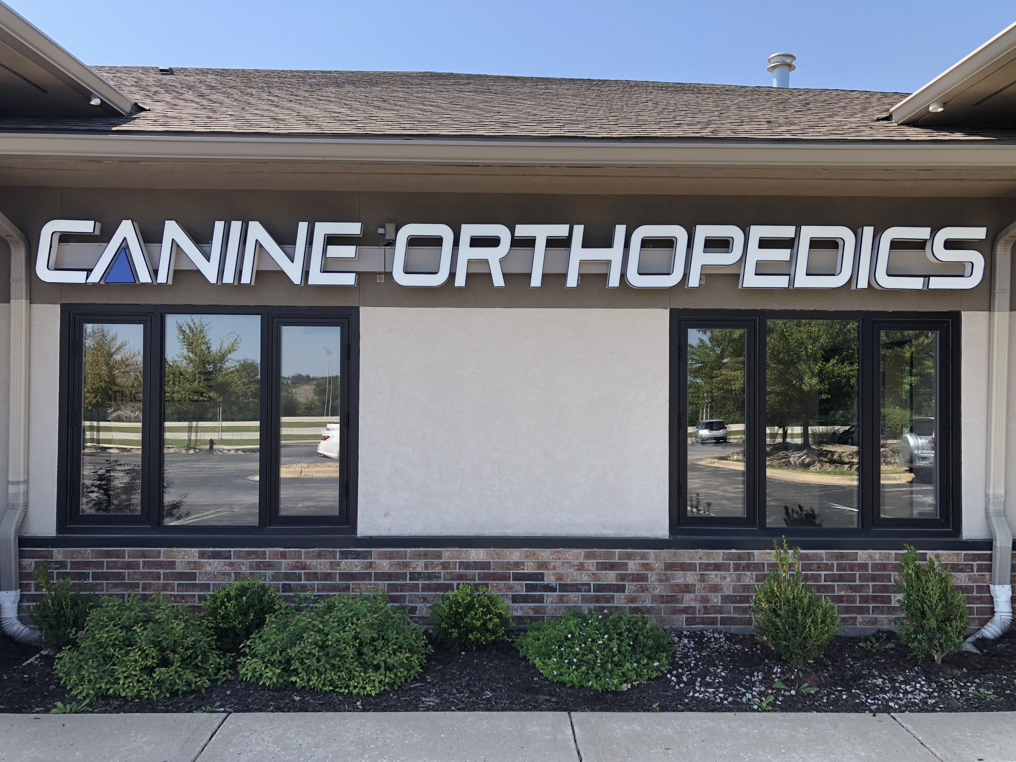 Kansas City Canine Orthopedics Blog Post Photo 2