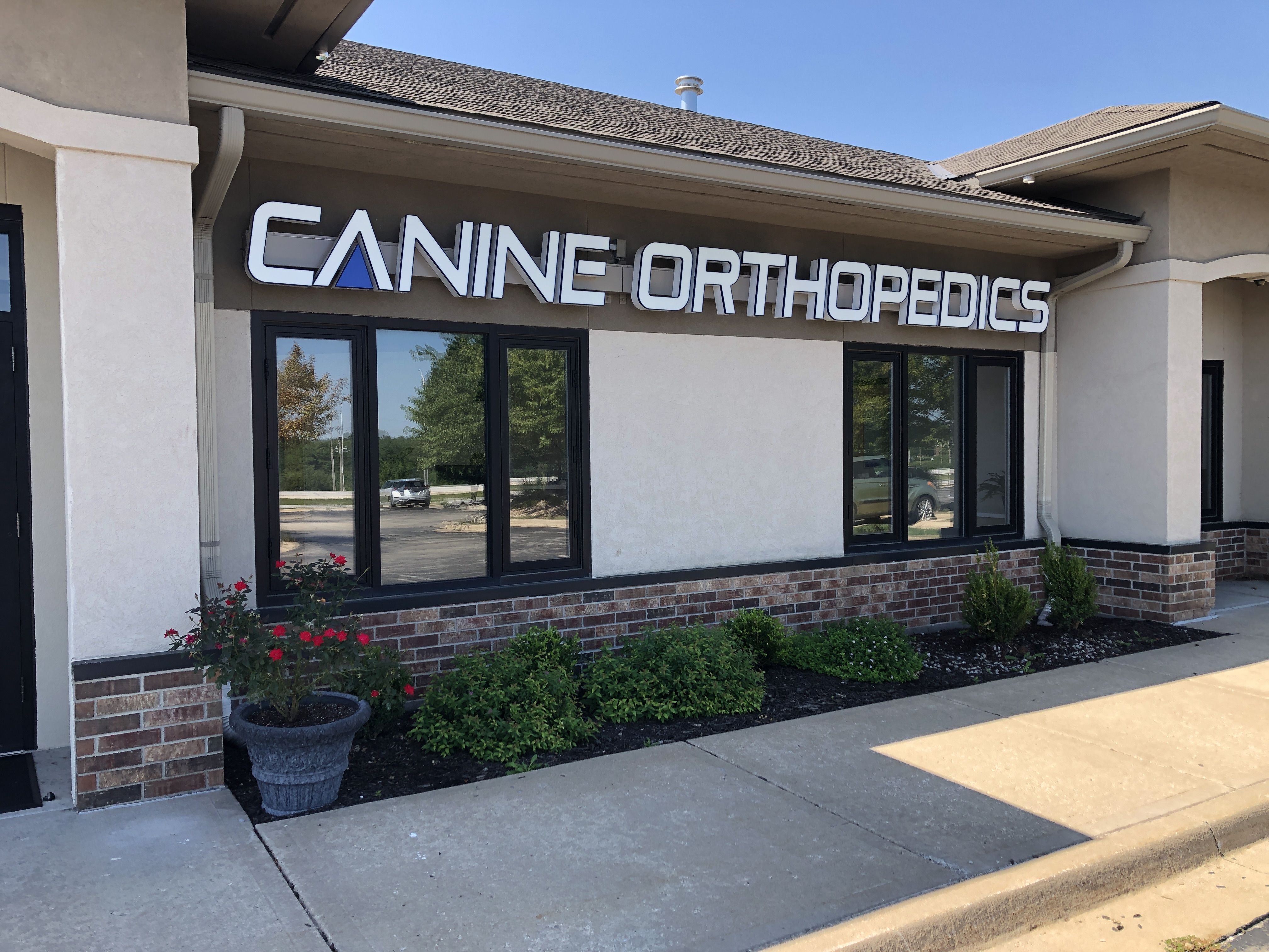 Kansas City Canine Orthopedics Blog Post Photo 3