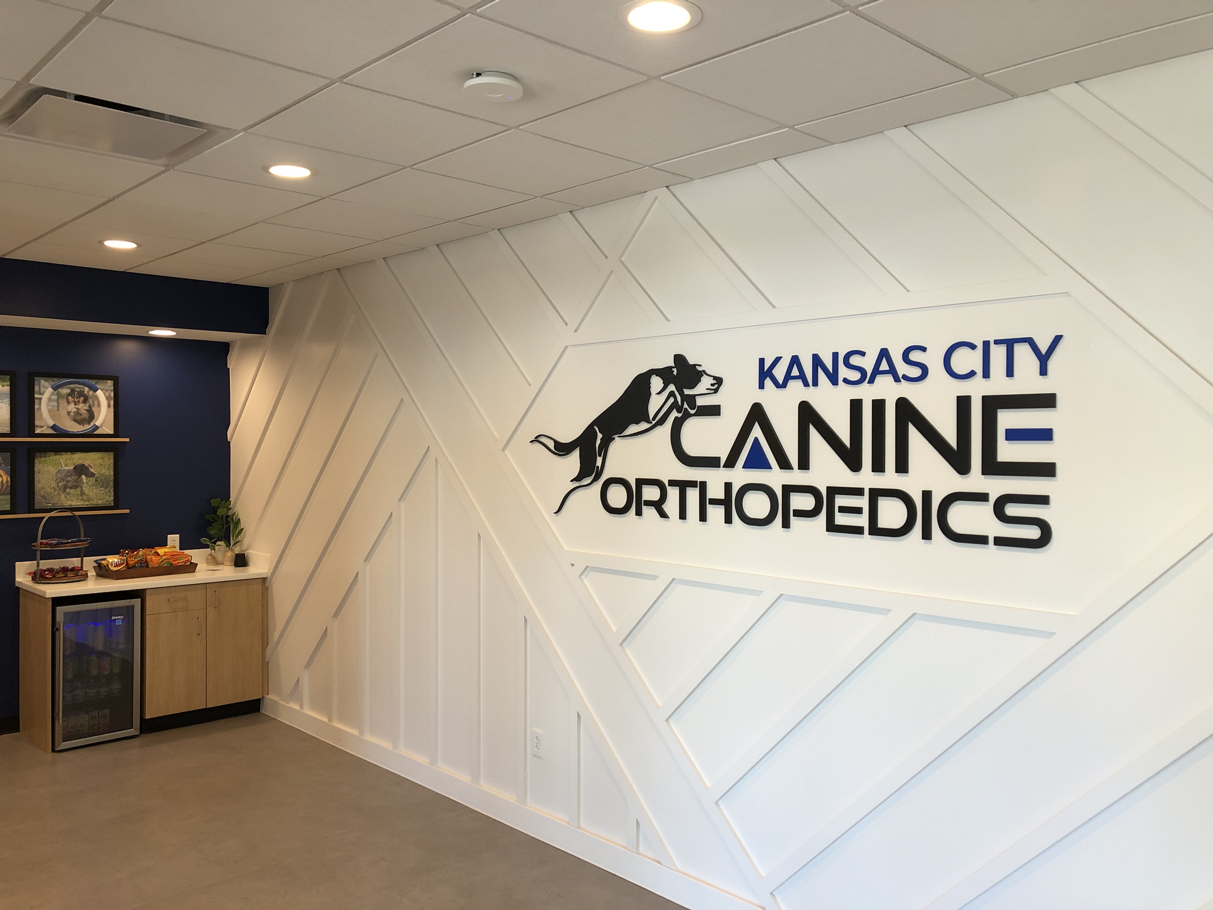 Kansas City Canine Orthopedics Blog Post Photo 5