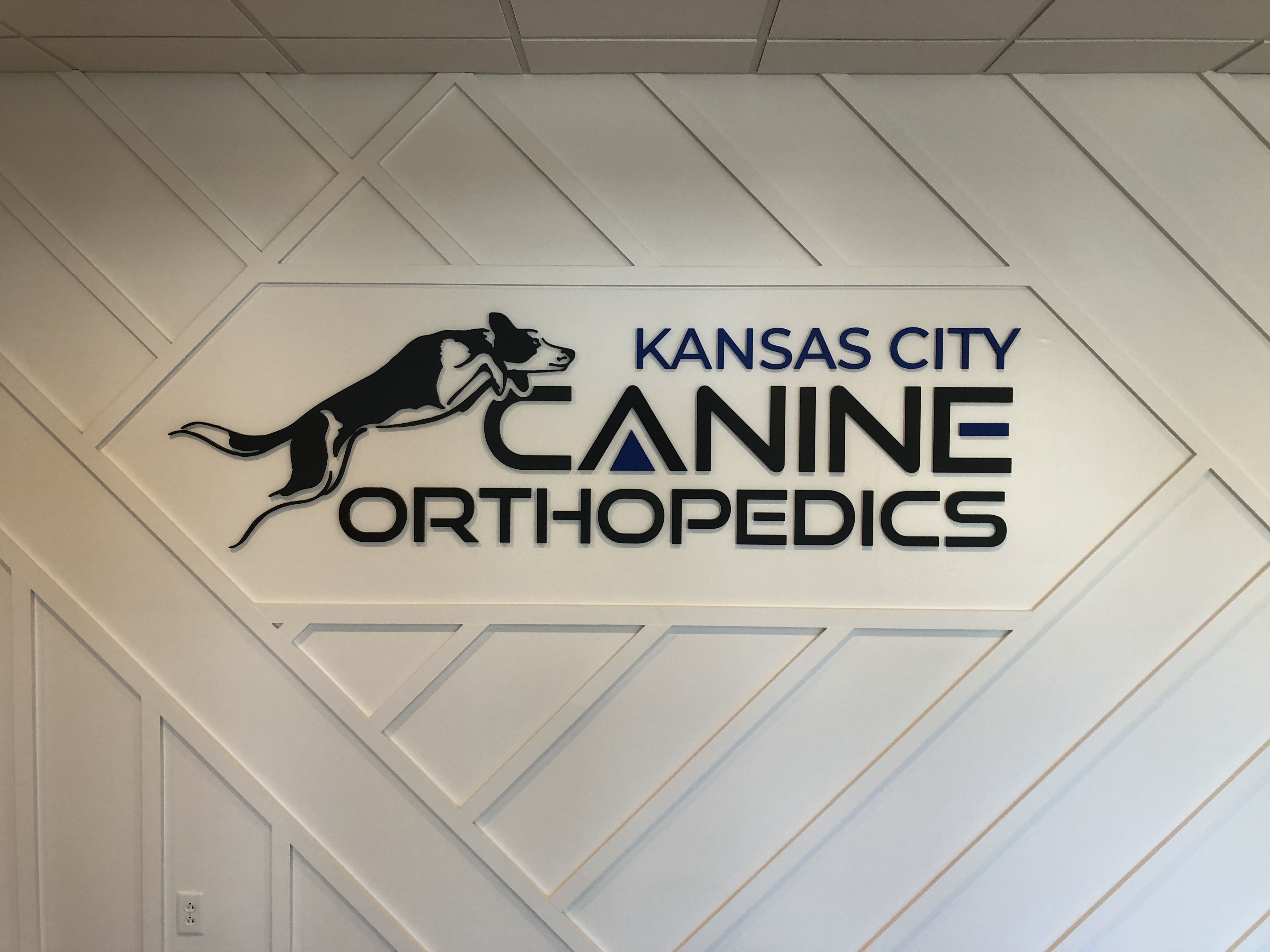Kansas City Canine Orthopedics Blog Post Photo 6